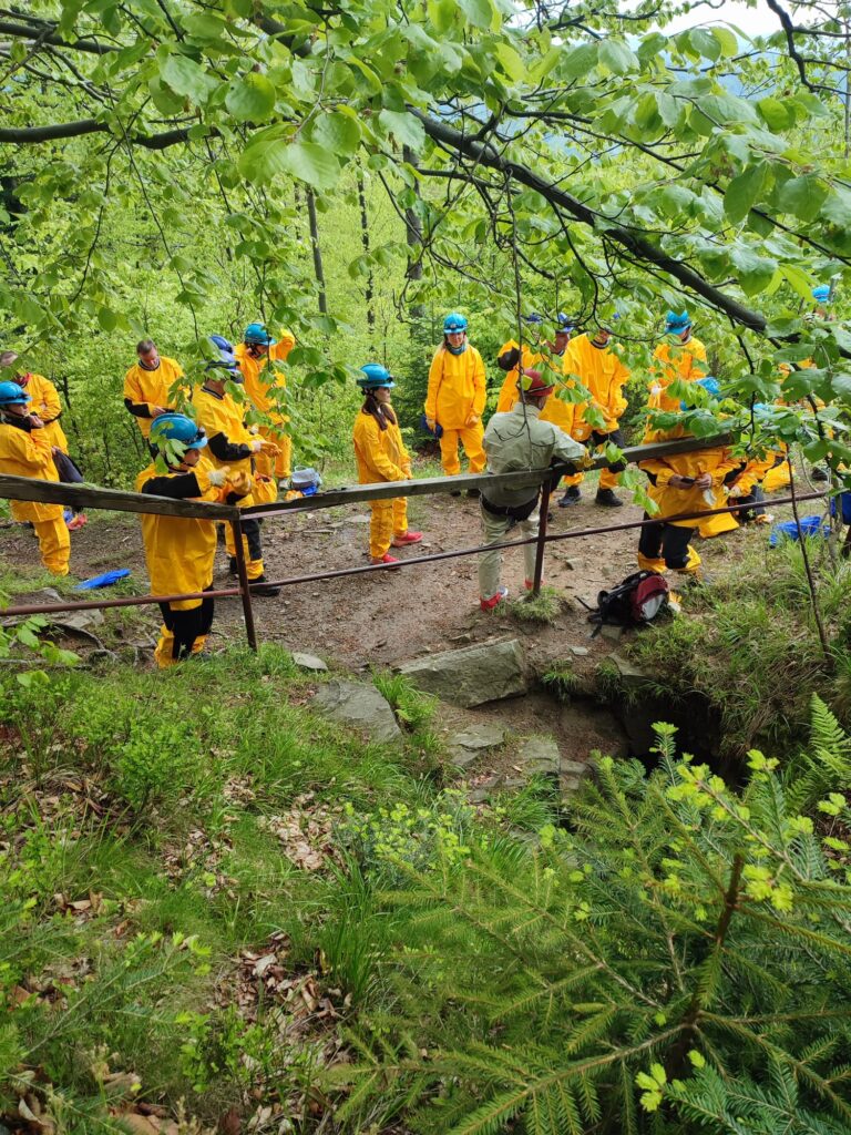 Grupa osób w żółtych kombinezonach ochronnych i niebieskich kaskach na leśnej ścieżce podczas szkolenia.